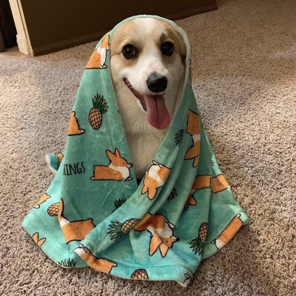 Corgi Things Other - Corgi Pineapple Blanket